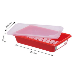 Bac Piatto 3L Haccp Rosso + Coperchio + Griglia - Gilac