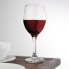 Bicchiere da Vino Solar - 310 ml - Set di 24 - Olympia
