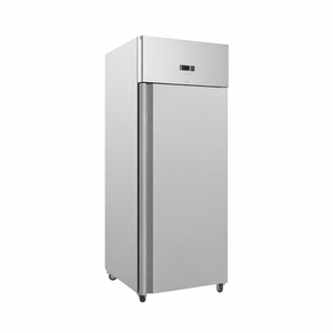 Armadio Refrigerato Inox Negativo GN2/1 - 650 L - Dynasteel