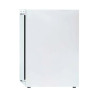 Mini Armadio Refrigerato Negativo 170 L -18°C Bianco