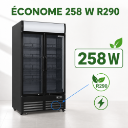 Vetrina per Bevande 736 L 2 Porte in Vetro 2-8 °C R290