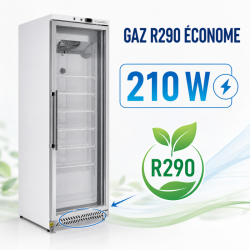 Armadio Congelatore 400 L Vetrato Freddo Ventilato -18/-22°C