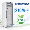 Armadio Congelatore 400 L Vetrato Freddo Ventilato -18/-22°C