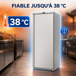 Armadio Congelatore 590 L Inox Freddo Ventilato -22 °C