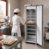 Armadio Congelatore 380 L Freddo Ventilato -18/-22 °C