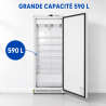 Armadio Congelatore 590 L Freddo Ventilato -18/-22°C