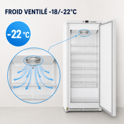 Armadio Congelatore 590 L Freddo Ventilato -18/-22°C