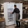 Armadio Congelatore 510 L Ventilato -18/-22°C Bianco