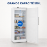 Armadio Congelatore 510 L Ventilato -18/-22°C Bianco