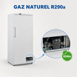 Armadio Congelatore 510 L Ventilato -18/-22°C Bianco