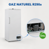 Armadio Congelatore 510 L Ventilato -18/-22°C Bianco