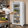 Armadio Refrigerato Ventilato 527 L +2/+8 °C — Porta Piena
