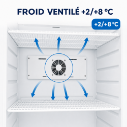 Armadio Refrigerato Ventilato 527 L +2/+8 °C — Porta Piena