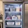 Griglia 450x470 mm Armadio Refrigerato Negativo 200 L