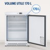 Mini Armadio Refrigerato Negativo 170 L -18°C Bianco