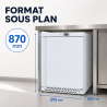 Mini Armadio Refrigerato Negativo 170 L -18°C Bianco