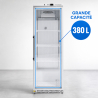 Positive Glass Door Refrigerated Cabinet 380 L 0/+8°C