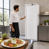 Armadio Refrigerato Positivo 380 L 0/+8°C Porta Piena