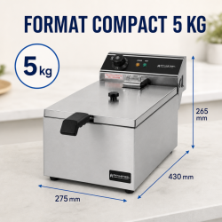 Friggitrice Professionale 10 L 3000 W Inox — Termostato