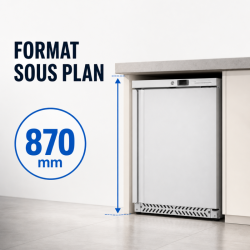 Armadio Refrigerato Negativo Inox 170 L -18°C Sotto Piano