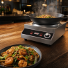 Wok a Induzione Pro 3500 W Inox — Zona Concava Ø227