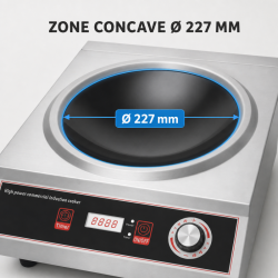 Wok a Induzione Pro 3500 W Inox — Zona Concava Ø227