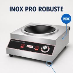 Wok a Induzione Pro 3500 W Inox — Zona Concava Ø227