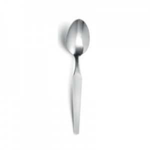 Teaspoon Fjord Range - Set of 12 - AMEFA