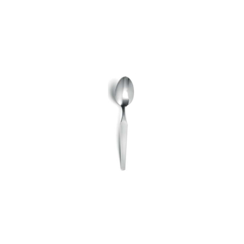 Teaspoon Fjord Range - Set of 12 - AMEFA