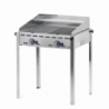 Barbecue a Gas Green Fire con 2 bruciatori - Marca HENDI - Fourniresto