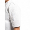 Giacca da cucina unisex bianca a maniche corte Vegas - Taglia M - Whites Chefs Clothing - Fourniresto