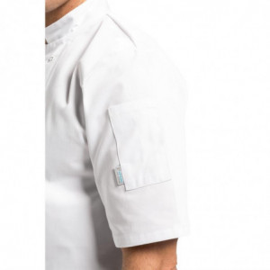 Giacca da cucina unisex bianca a maniche corte Vegas - Taglia S - Whites Chefs Clothing - Fourniresto