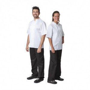 Giacca da cucina bianca a maniche corte Boston - Taglia L - Whites Chefs Clothing - Fourniresto