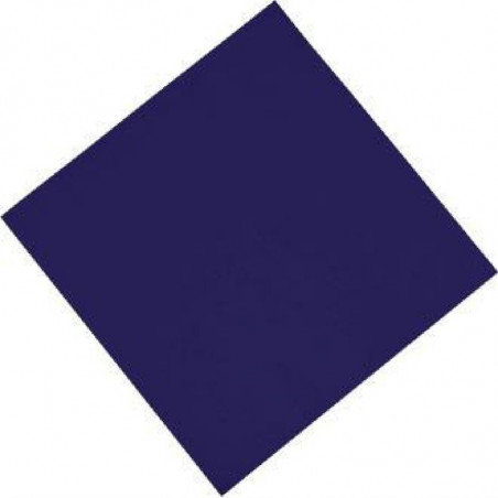 Tovagliolo di carta blu a 2 strati 300 x 300 mm - Lotto da 1500 - FourniResto - Fourniresto