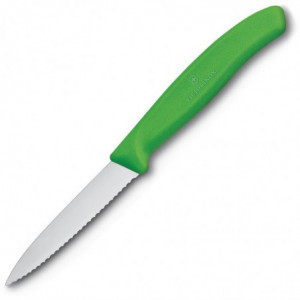 Coltello da cucina verde lama dentata 8 cm - Victorinox - Fourniresto