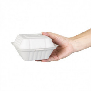 Compostable Hamburger Boxes - L 149 mm - Pack of 500 - Fiesta Green