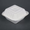 Hinged Bagasse Compostable Trays - 500 ml - Pack of 250 - Fiesta Green