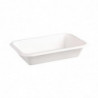 Compostable Bagasse Trays - L 215 mm - Pack of 50 - Fiesta Green