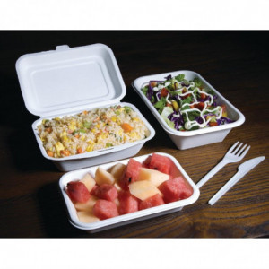 Compostable Bagasse Trays - L 215 mm - Pack of 50 - Fiesta Green