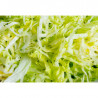 Disco per Grattugiare 3 mm per Tagliaverdure Elettrico - Dynamic