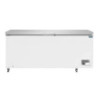 Chest Freezer with Stainless Steel Lid - 587 L - Polar