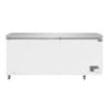 Congelatore a Pozzetto con Coperchio Inox - 581 L - Polar