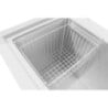 Congelatore a Pozzetto con Coperchio Inox - 581 L - Polar