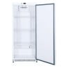Armadio Refrigerato Positivo 590 L 0/+8°C Porta Piena