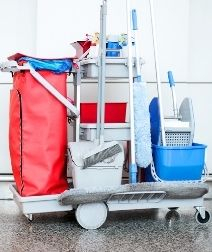 Cleaning Cart