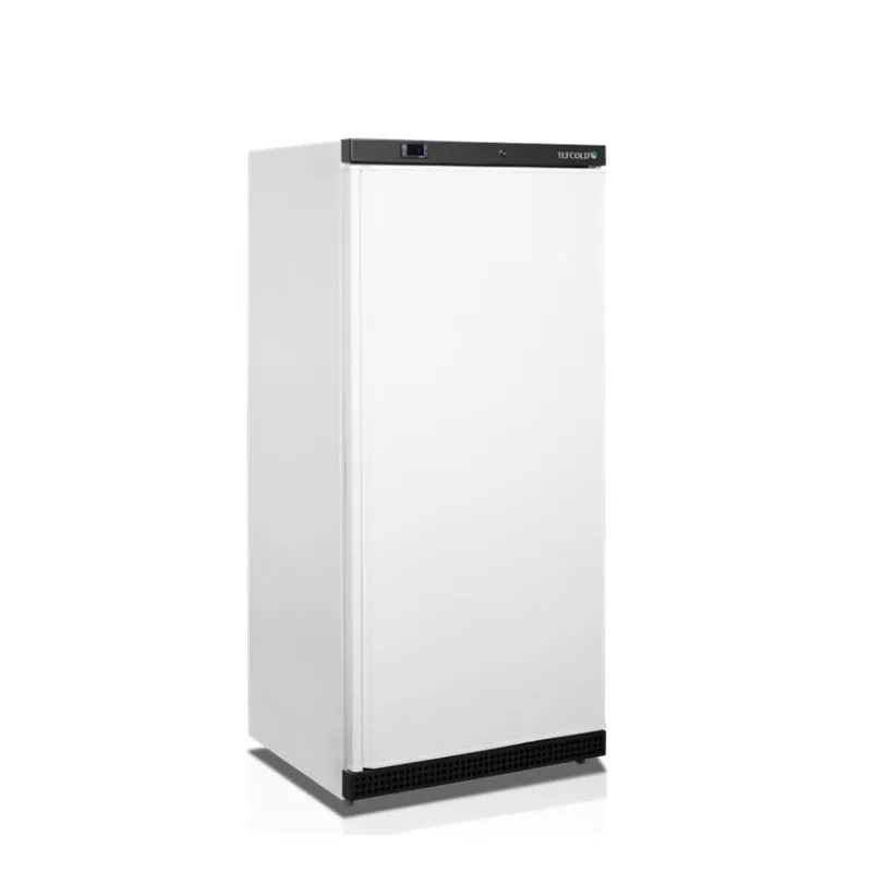 Armadio Refrigerato Negativo - Bianco - 420 L