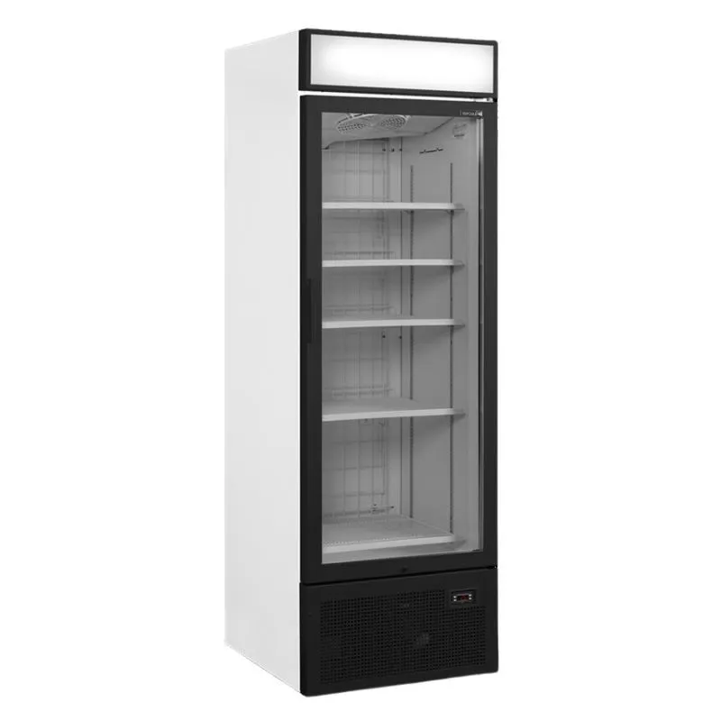 Vetrina Congelatore Porta Vetrata con Tettuccio - 440 L