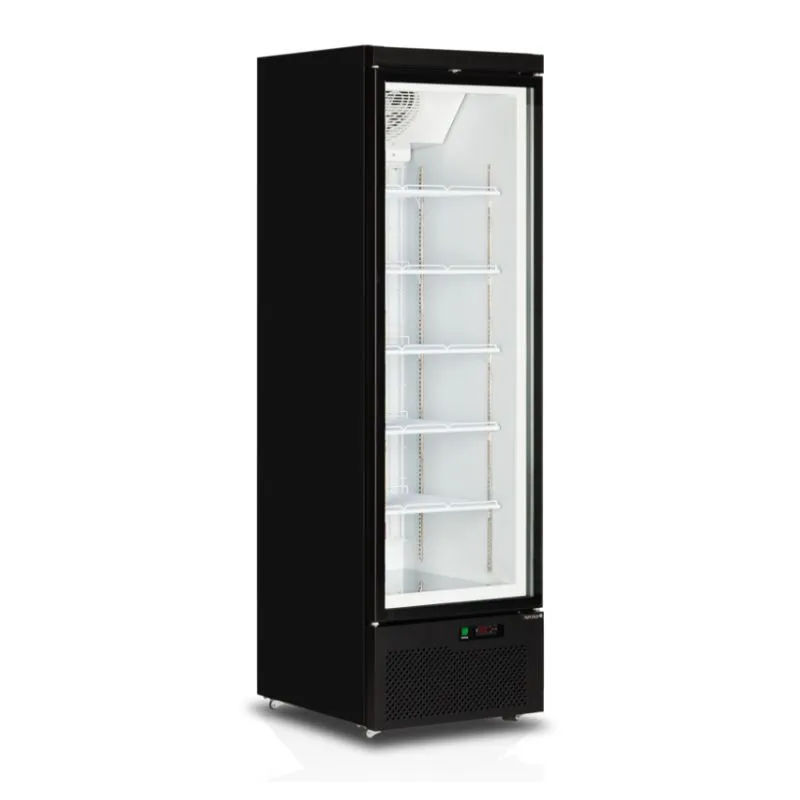 Vetrina Congelatore Verticale Nera - 1 Porta Vetrata - 390 L