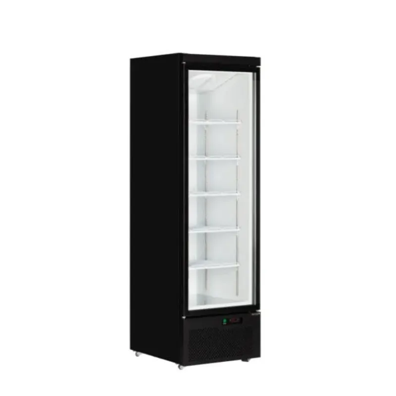 Armadio Refrigerato Positivo Porta Vetrata - 459 L