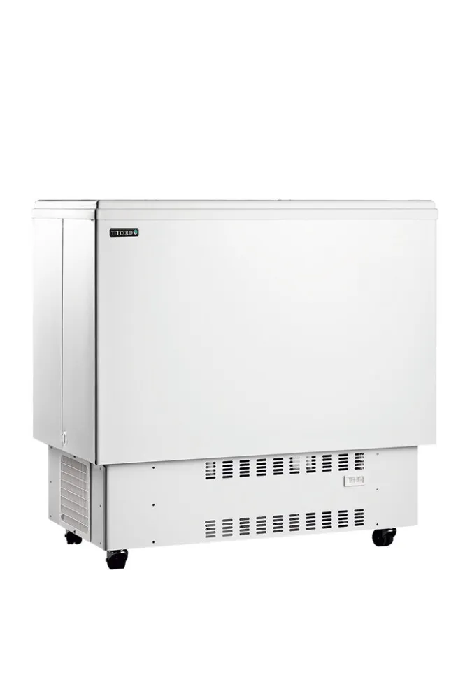 Frigorifero a Pozzetto per Bevande Bianco - 226 L
